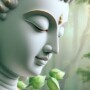 Buddha -Dhamma-niyamasutta